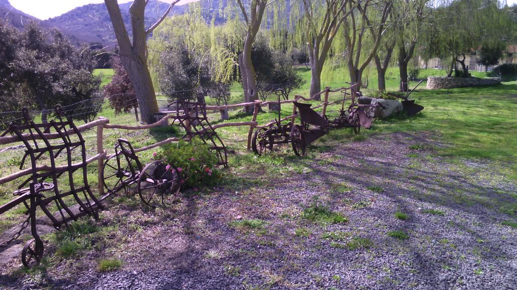 Thiesi Agriturismo Cugumia מראה חיצוני תמונה
