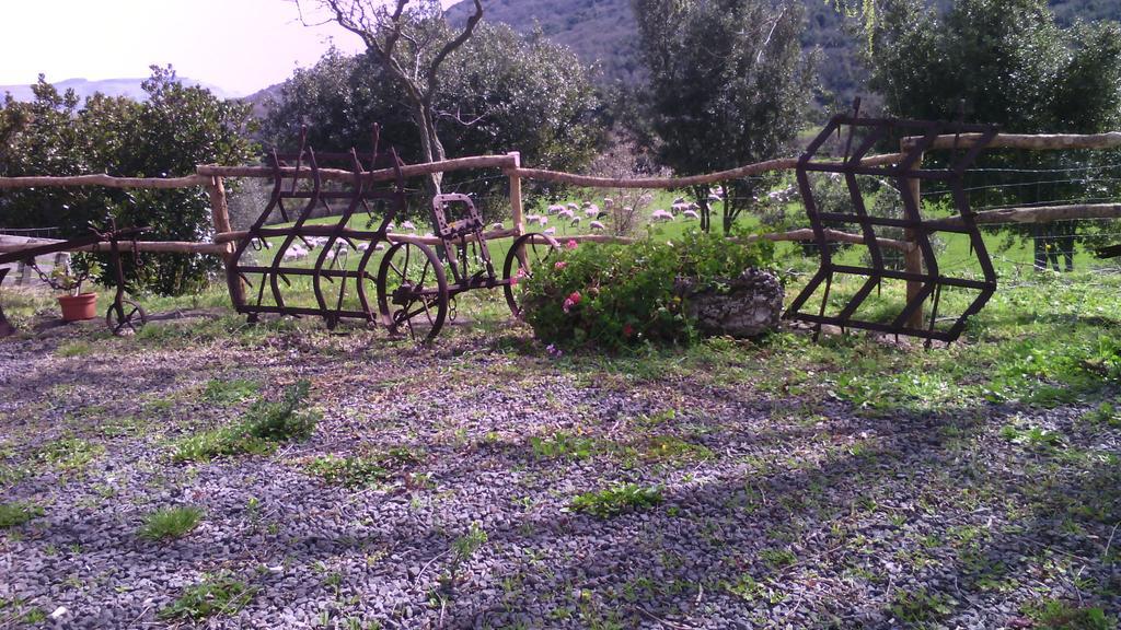 Thiesi Agriturismo Cugumia מראה חיצוני תמונה