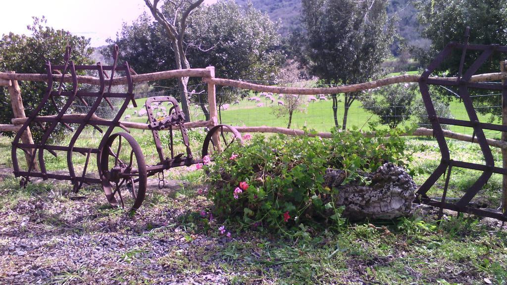 Thiesi Agriturismo Cugumia מראה חיצוני תמונה