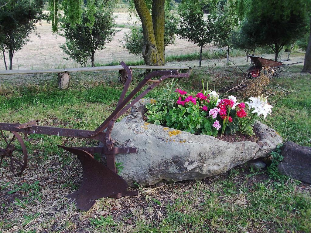 Thiesi Agriturismo Cugumia מראה חיצוני תמונה