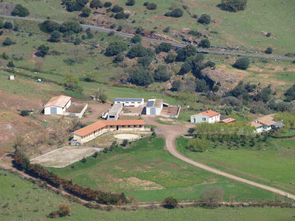 Thiesi Agriturismo Cugumia מראה חיצוני תמונה